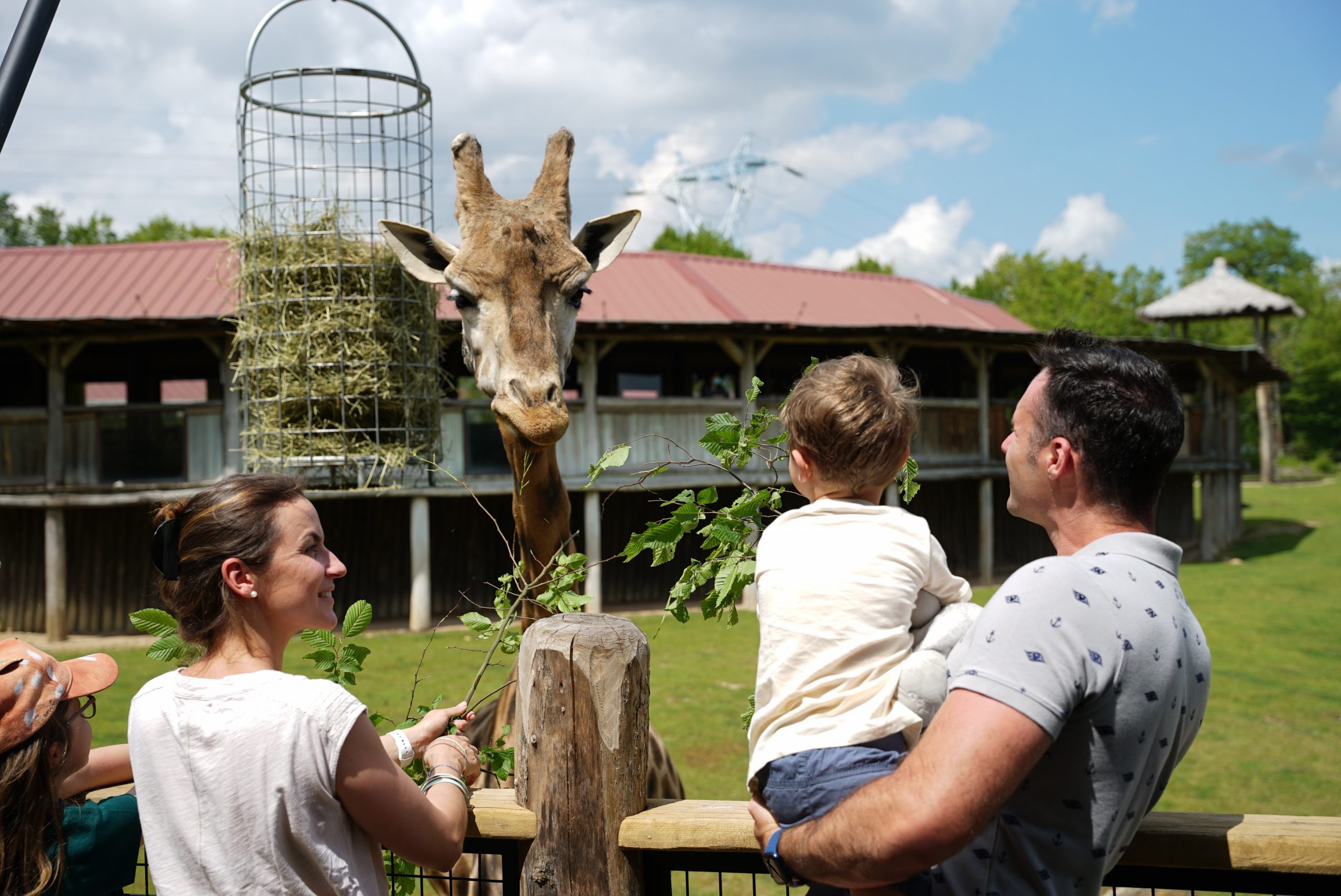 Parc Zoologique d’Amnéville la splendeur du monde animalier