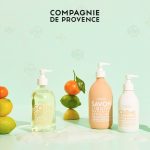 Parfums & Co - offre CSE