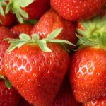 Les fermes Placier-fraises