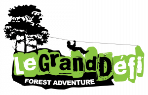 Logo Le Grand Défi 2016-page-001