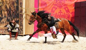 Chambord Spectacle chevaux rapaces_Horse&birdofpreyshow©Chambord - Leonard de Serres (7)