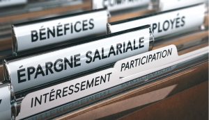 participation salariale et les CSE