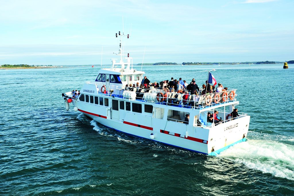 exploration _les Vedettes Angelus