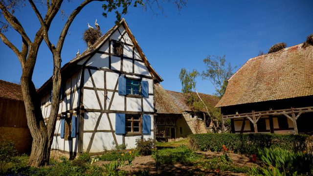 Ecomusee_d_Alsace_sortie_culture_famillle_billetterie_CSE_4 L'Écomusée d'Alsace, village alsacien à visiter en CSE