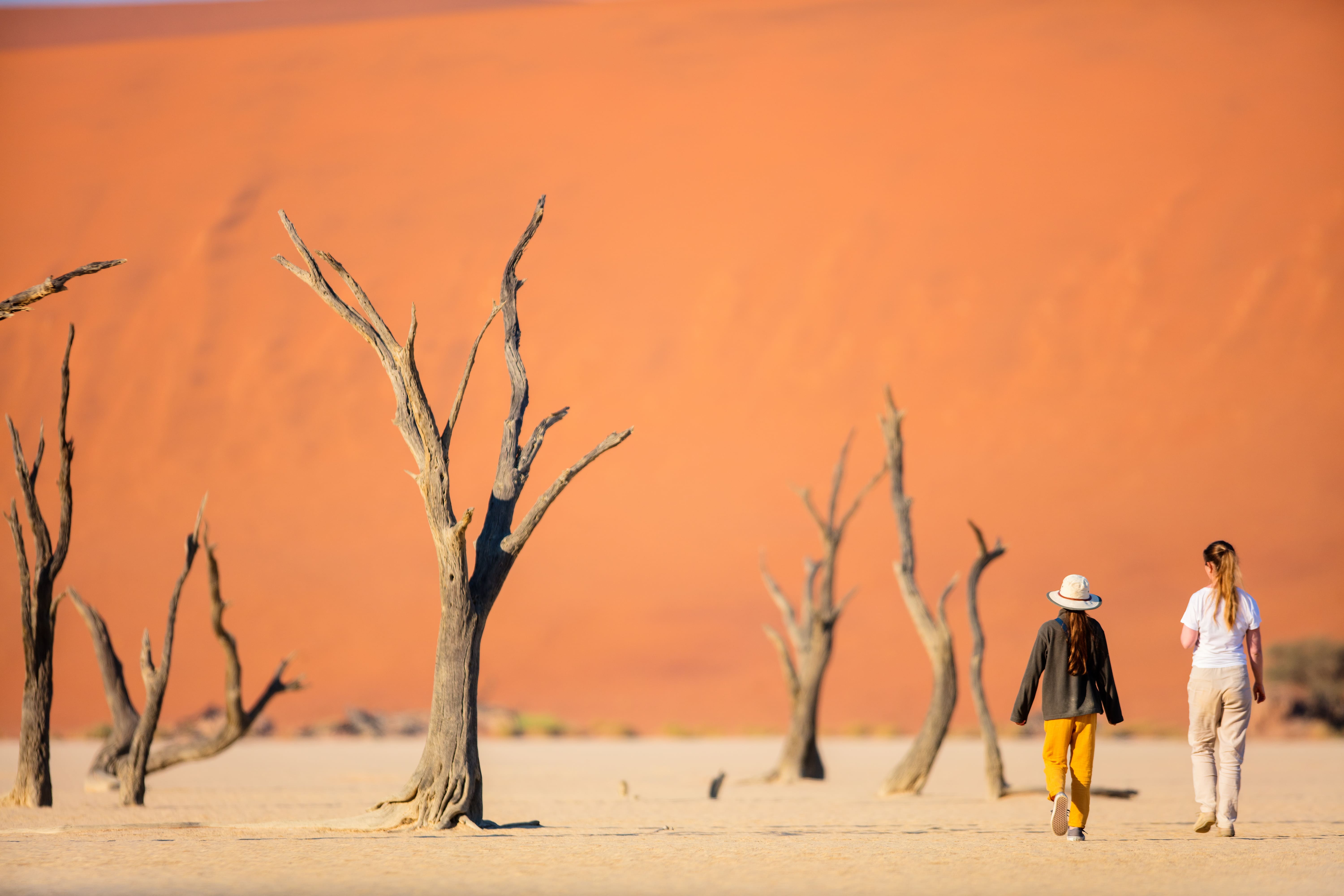 Allibert_trekking_voyages_CSE_influenceCSE_1