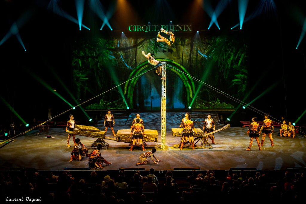Cirque_phenix_billetterie_arbre_de_noel_CSE_influenceCSE_2