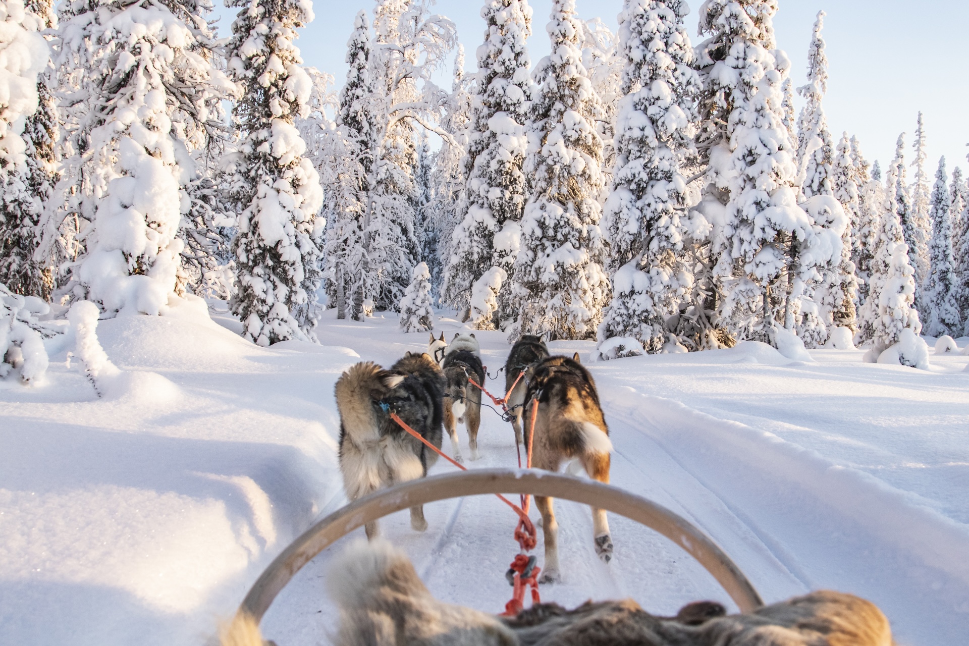 Nordic Voyages - Voyages Laponie CSE