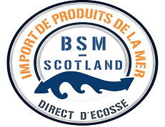 Logo BSM Scotland