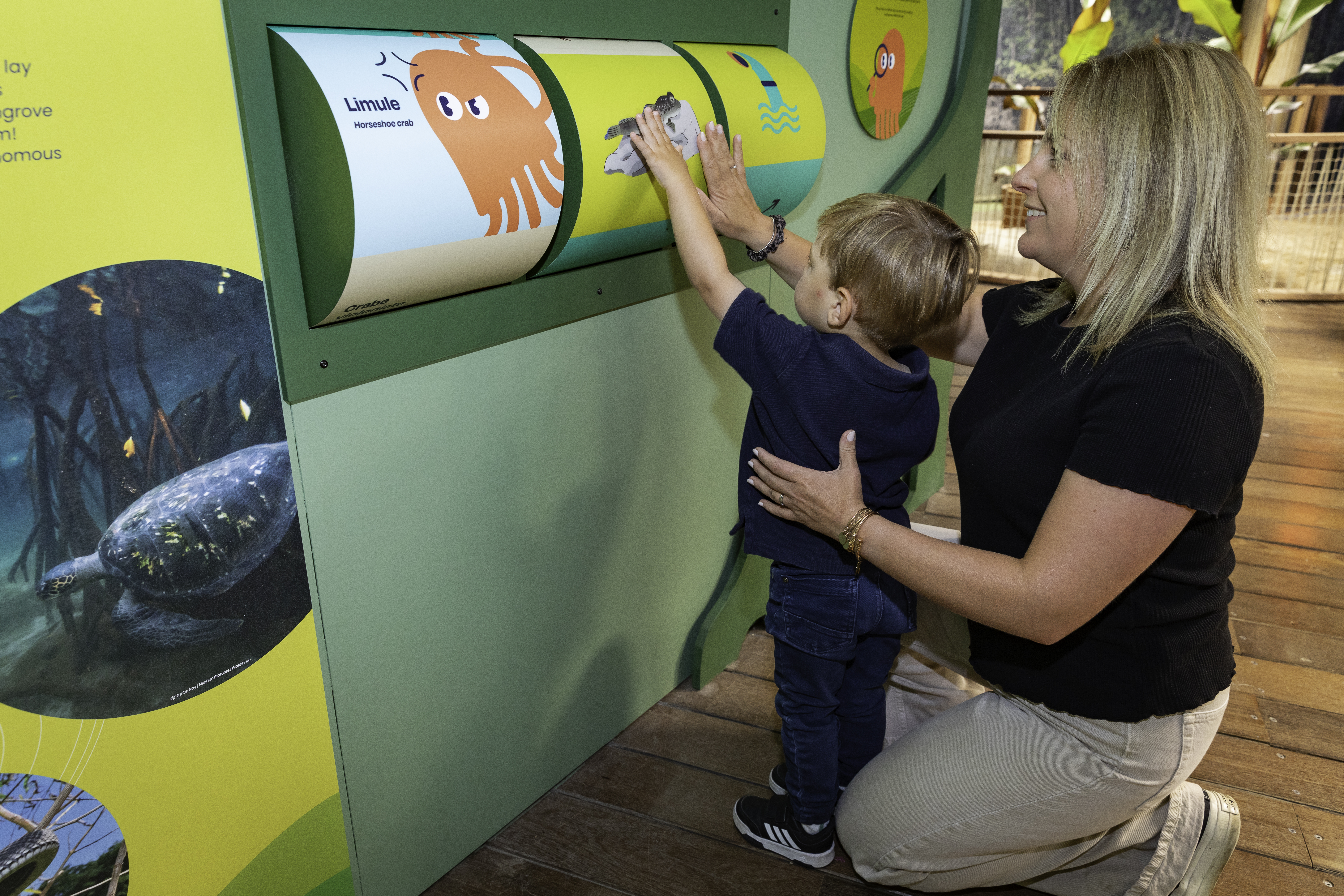Nausicaà : découvrez l’océan qui bat en vous !