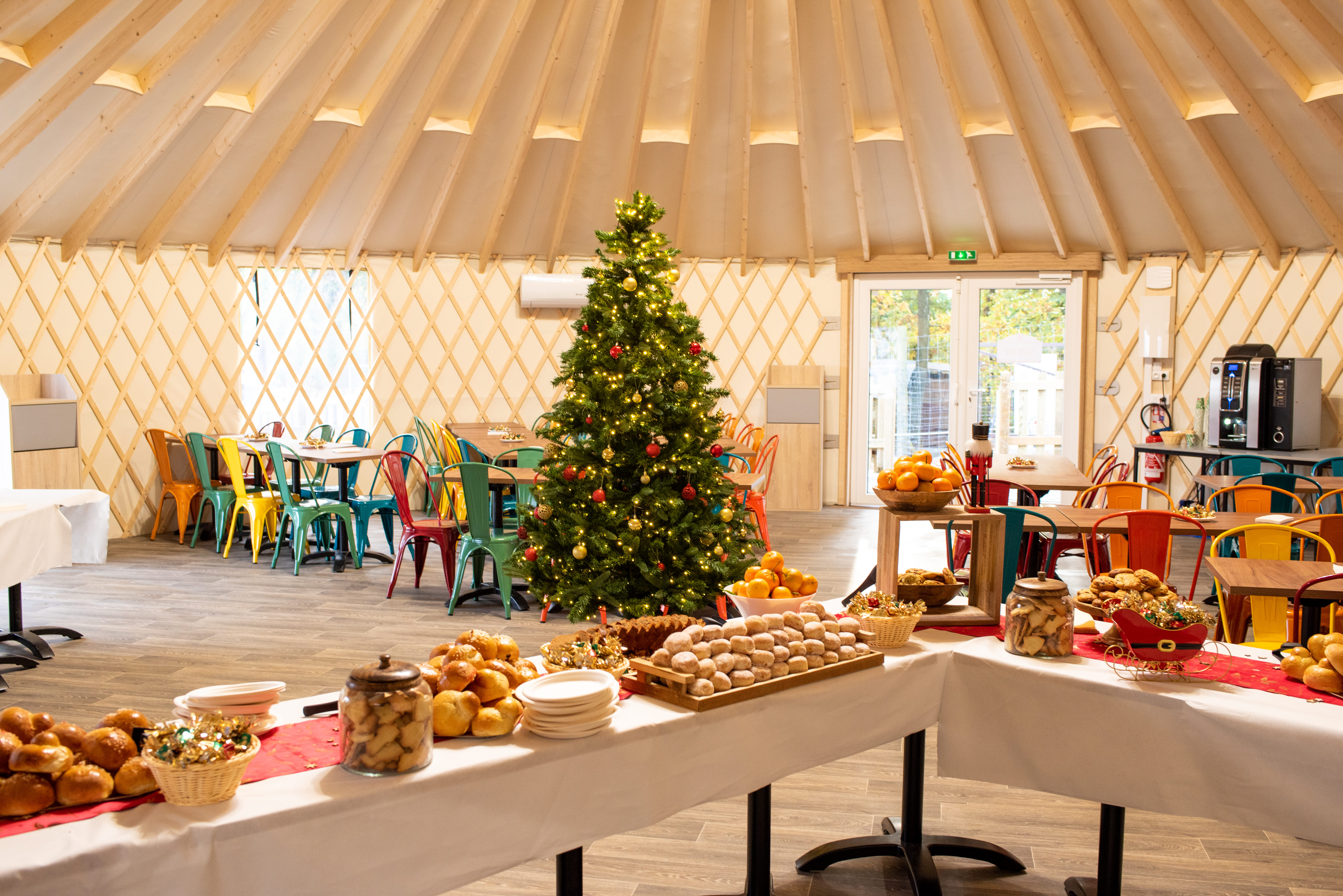 Wow Safari Peaugres : l’aventure grandeur nature pour les salariés !