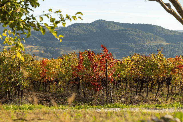 Drome_provencale_sortie_culture_CSE_influenceCSE_1 Drome_provencale_sortie_culture_CSE_influenceCSE_