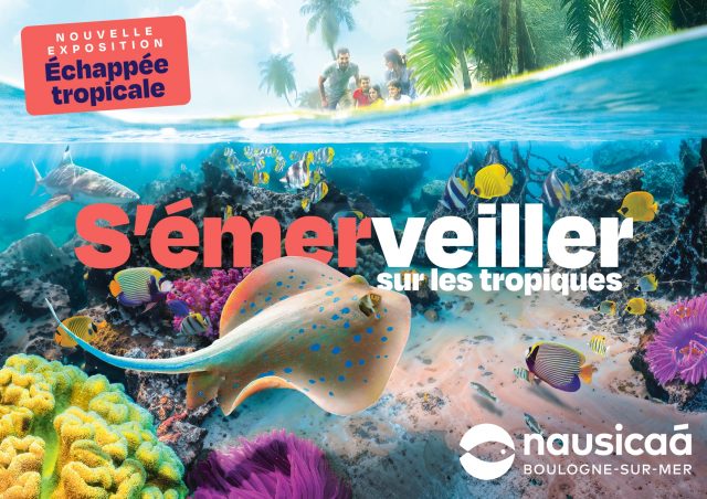 Echappée_Tropicale_Affiche_A4_Paysage_(Raie) Nausicaà : découvrez l’océan qui bat en vous !