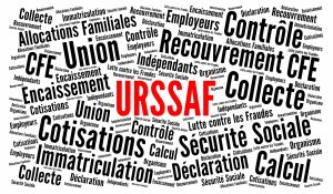 Le guide CSE / URSSAF 2026