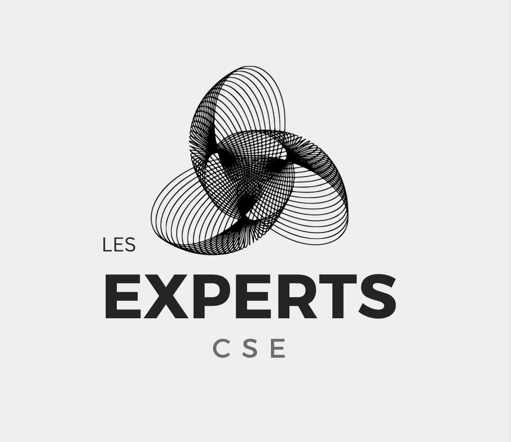 LES EXPERTS CSE