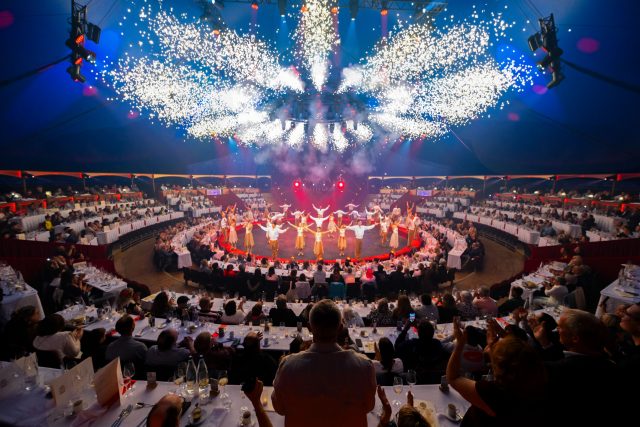 L’expérience Dîner; Déjeuner spectacle Arlette Gruss L'expérience Dîner; Déjeuner spectacle Arlette Gruss