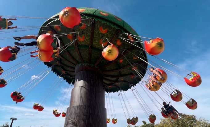 Prendre son envol à Cigoland, le parc familial alsacien ! Cigoland — Parc familial alsacien : attractions, parc animalier pédagogique, cigognes et billetterie CSE