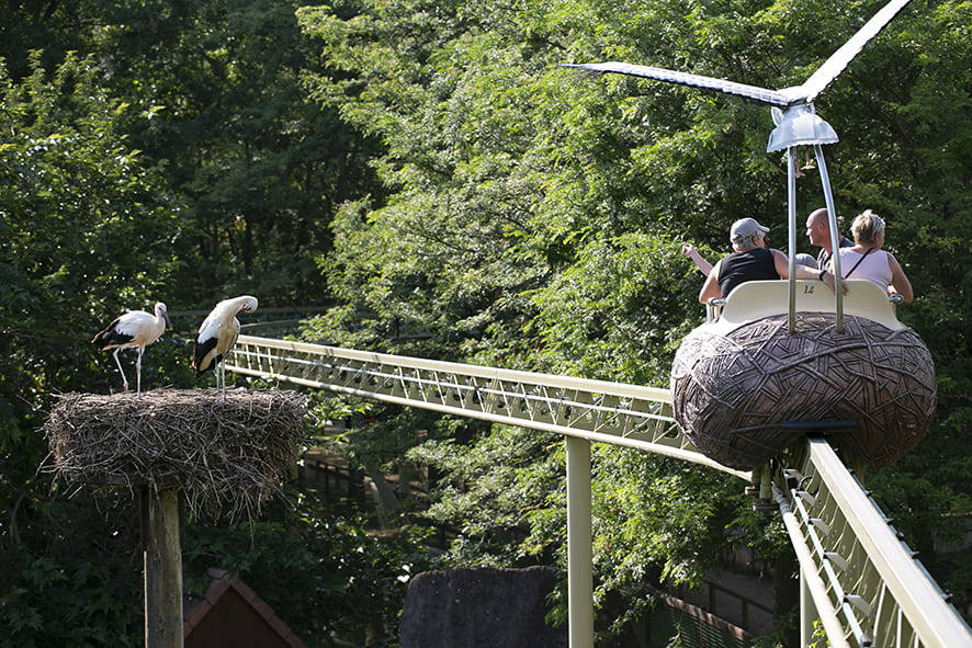 Cigoland — Parc familial alsacien : attractions, parc animalier pédagogique, cigognes et billetterie CSE