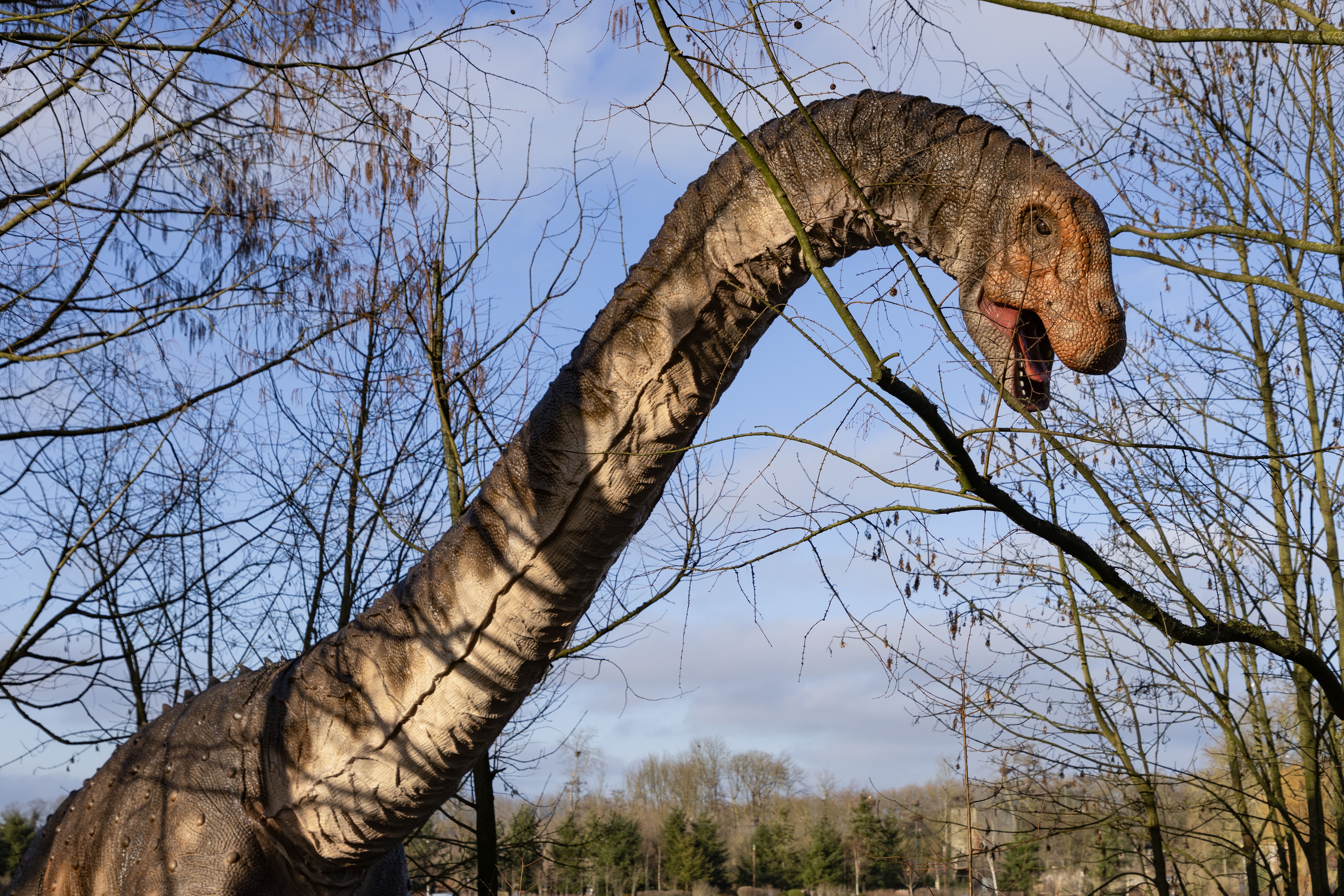 Pairi Daiza 2026 — Edenya serre tropicale parc animalier Belgique billetterie CSE