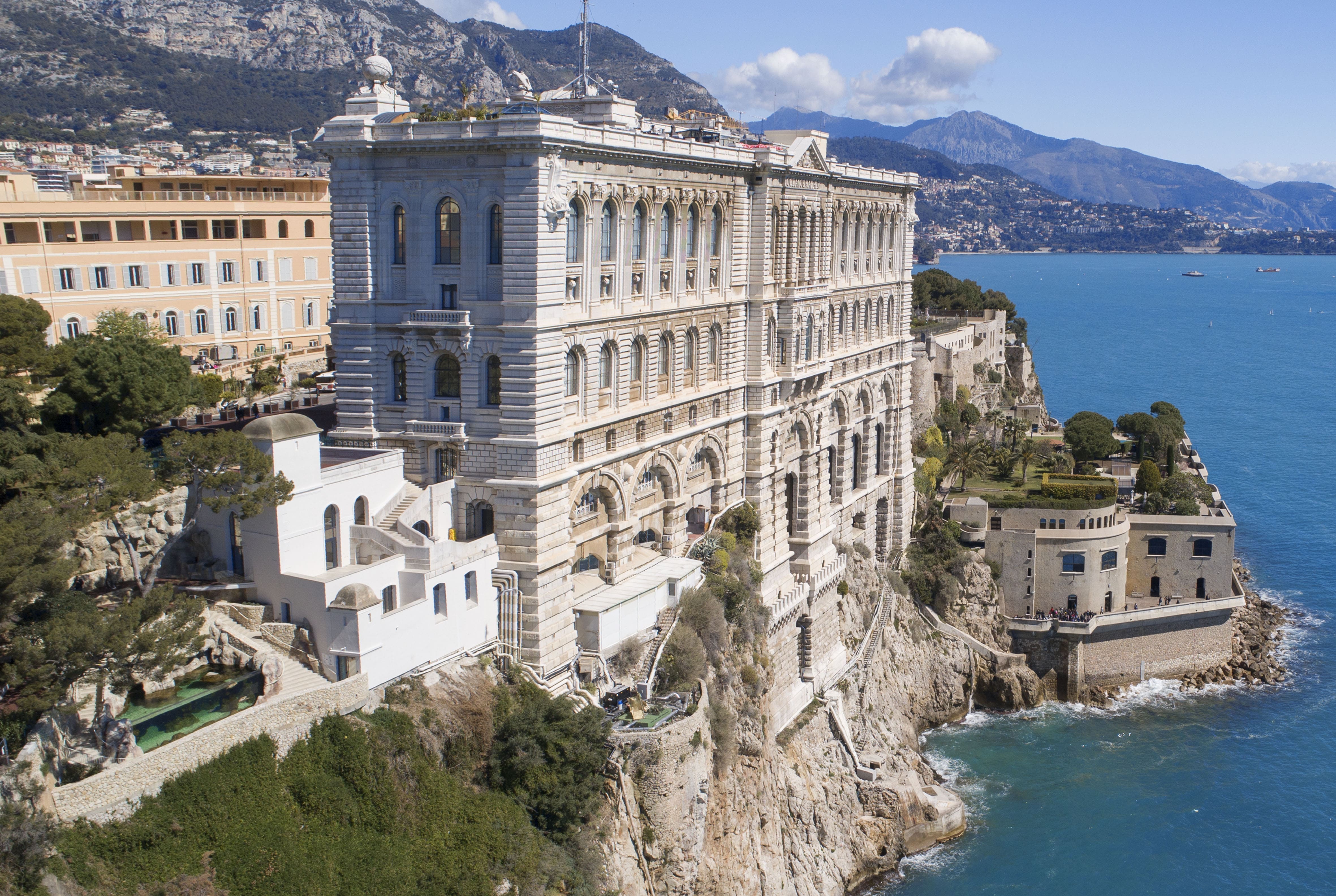 Musée Océanographique de Monaco — Billetterie CSE, aquariums, expositions immersives et arbres de Noël sur le mythique Rocher