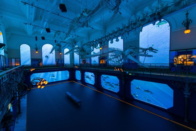 Émerveillement au Musée océanographique de Monaco Musée Océanographique de Monaco — Billetterie CSE, aquariums, expositions immersives et arbres de Noël sur le mythique Rocher