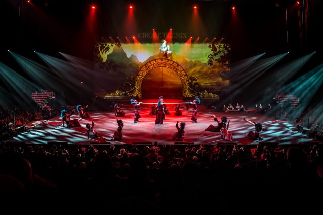 cirque de Noël pour l'arbre de Noël CSE — acrobates et numéros sous chapiteau illuminé