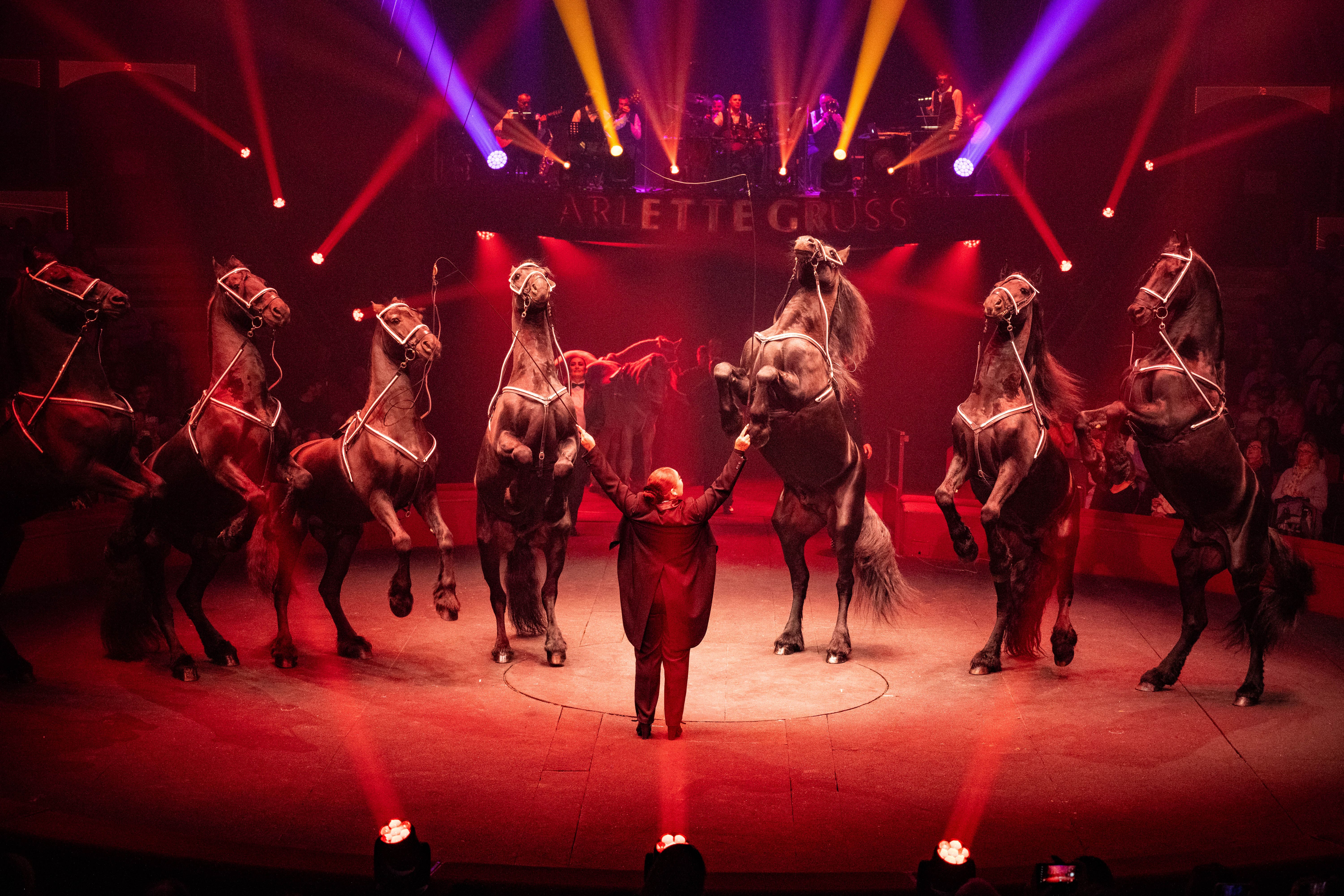 Artistes acrobates du cirque de Noël — numéros aériens et clowns pour l'arbre de Noël comité d'entreprise