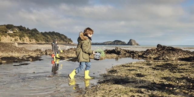 Bretagne-activité-cse-peche-balade-en-mer-offre-cse-magazine-Influence!CSE-1 Pêche en Bretagne - en mer en Bretagne, sortie CSE encadrée avec poisson capturé