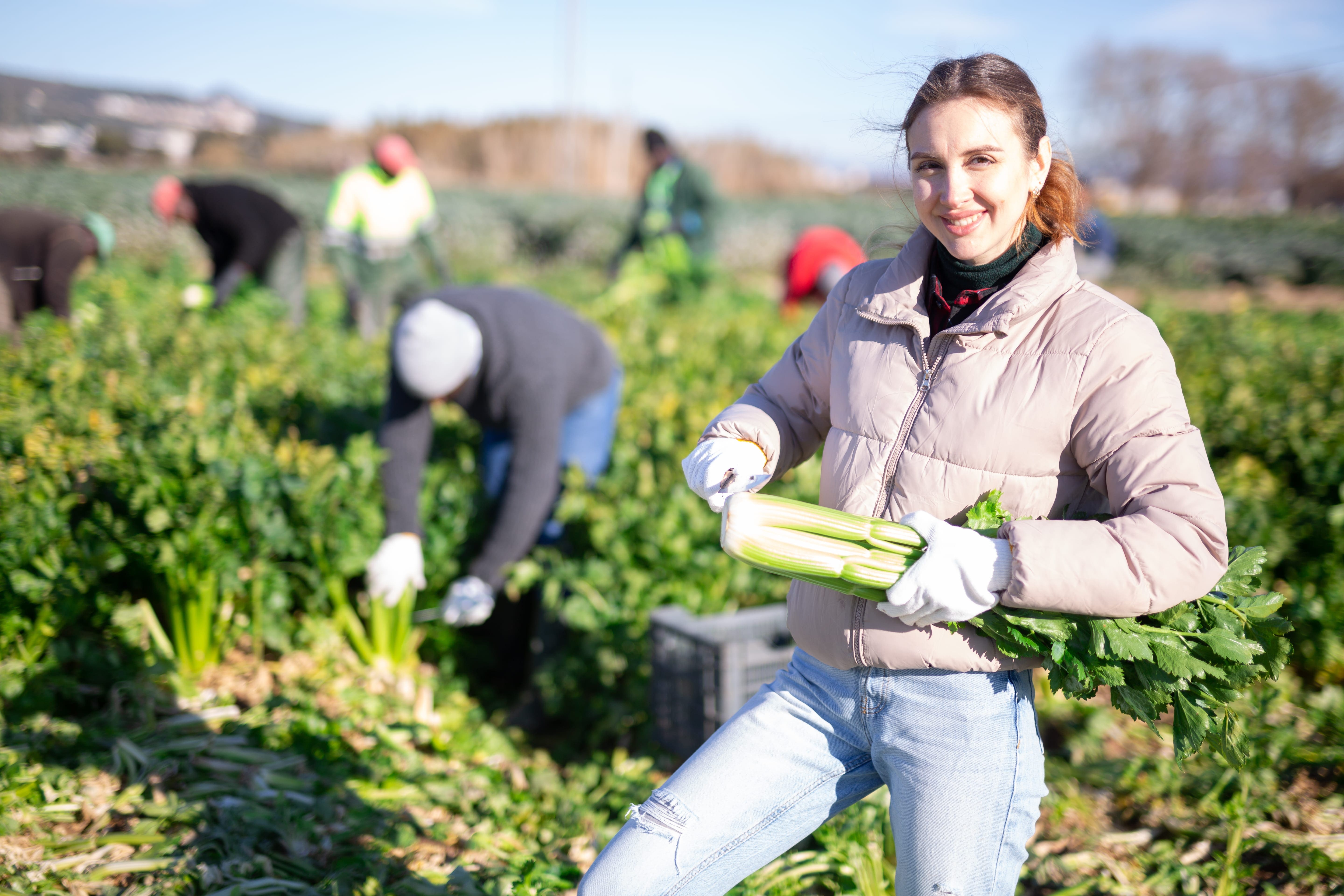 Vacances solidaires CSE — Voyager autrement avec engagement