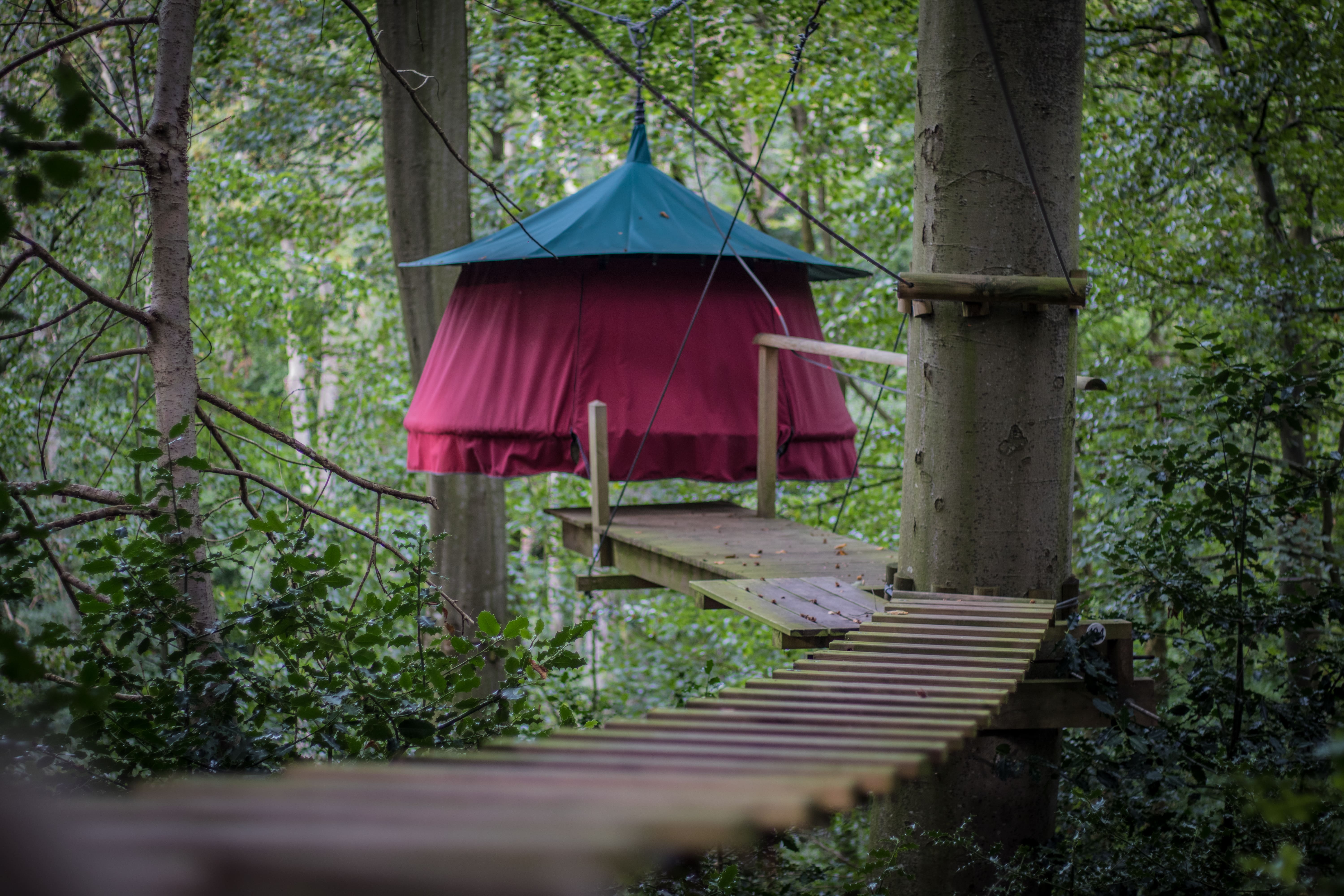 hébergement insolite, tente suspendue dans les arbres à Woody Park