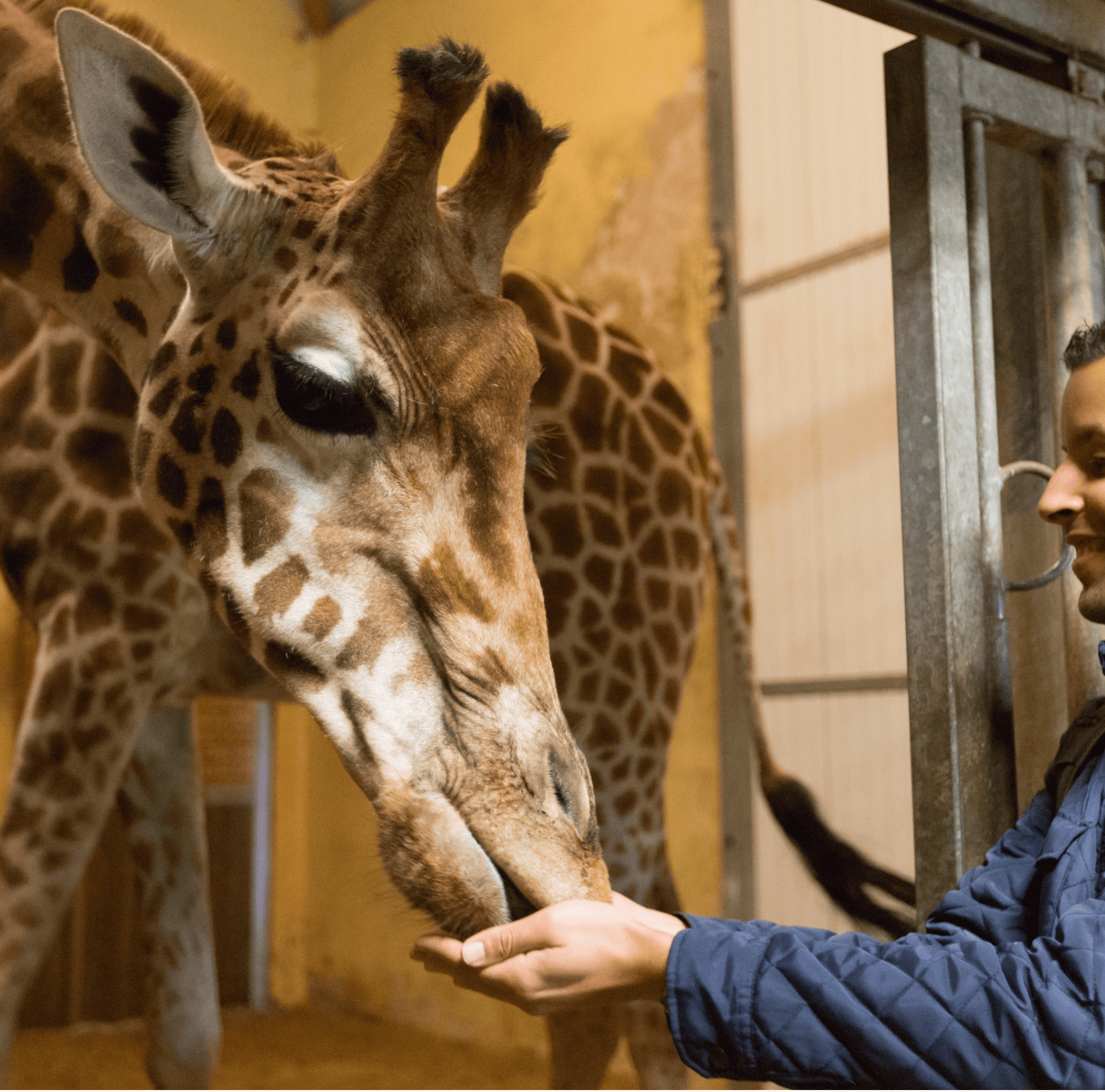 zoo de Jurques acceuil
