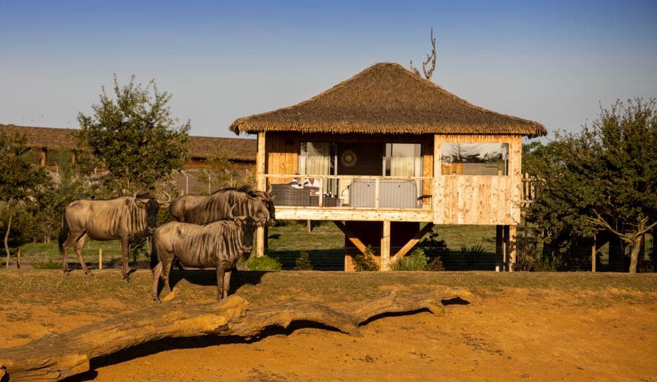 zoo de la Boissière lodge