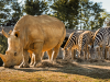 Le zoo de la Boissière , une escapade nature a taille humaine zoo-boissiere-2026