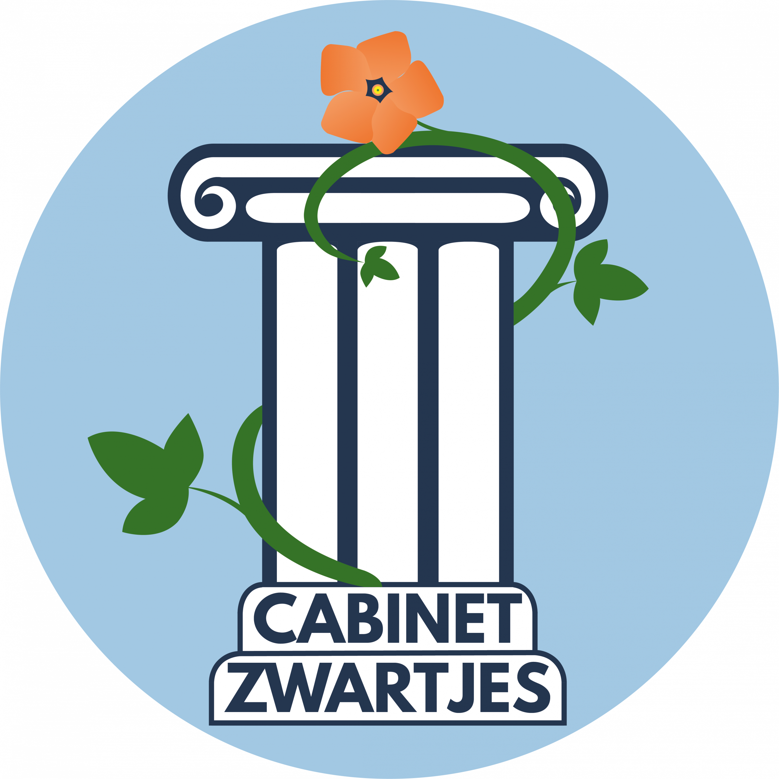 CABINET ZWARTJES