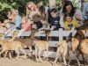 Le Parc de la Coccinelle, la sortie qui fait l’unanimité ! Sortie CSE en famille au Parc de la Coccinelle près d'Arcachon