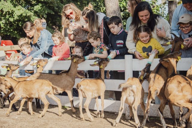 Sortie CSE en famille au Parc de la Coccinelle près d'Arcachon