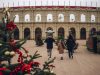 La magie du Puy du Fou, prolongée jusqu’en hiver ! Puy du Fou CSE : le nouveau spectacle nocturne Le Mystère de Noël