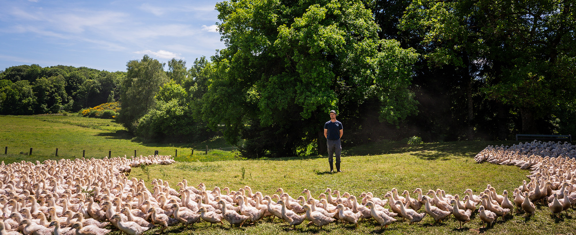 Coffret de foie gras La Quercynoise-Maison Occitane pour les CSE
