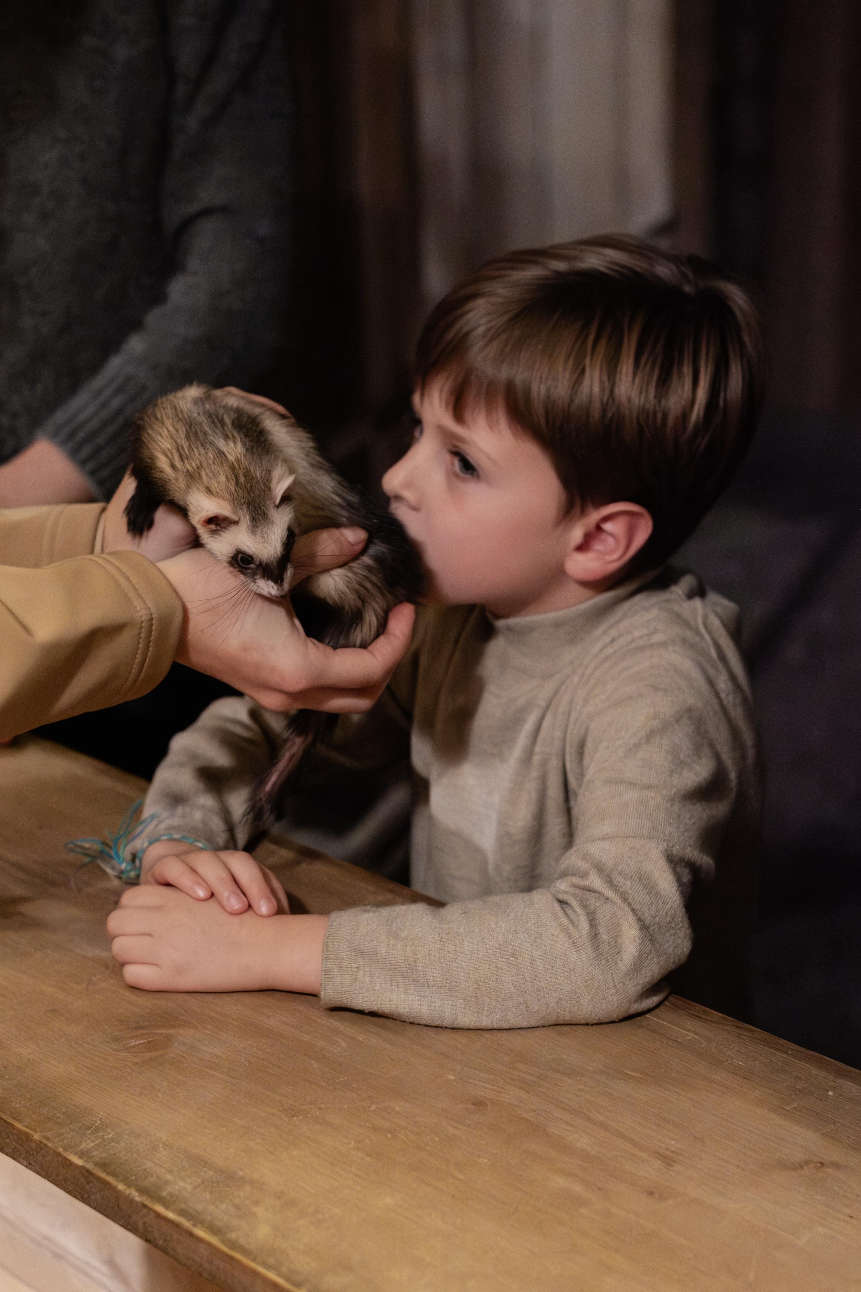 Le Monde de Noé, expérience immersive animale pour les CSE