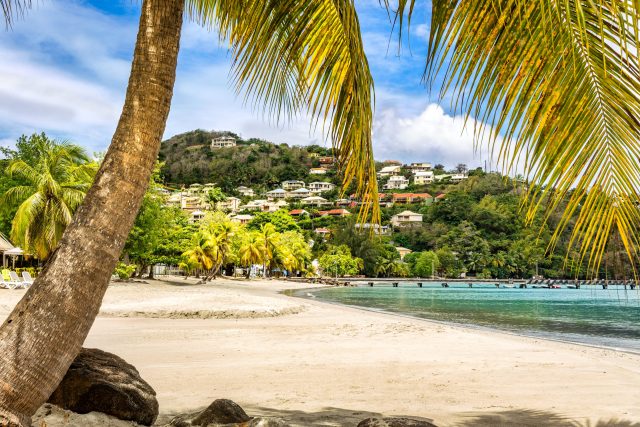 Magazine_des_CSE_Vacances_d'hiver_des_CSE_des_Salariés_offre_CSE_influence!CSE Comment les Français choisissent leurs vacances d’hiver ?